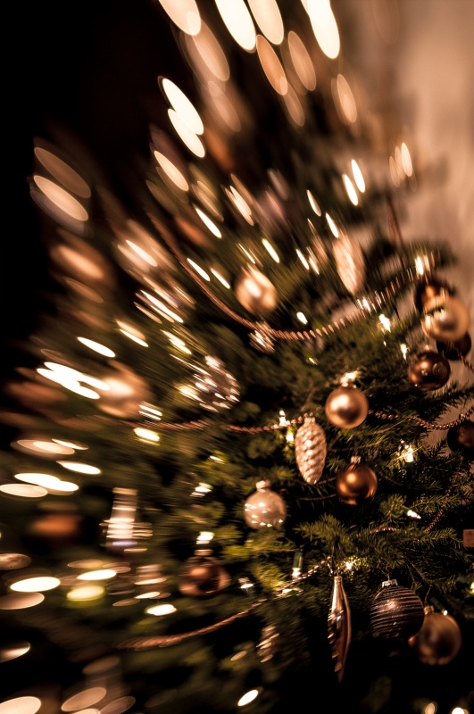Kerstboom